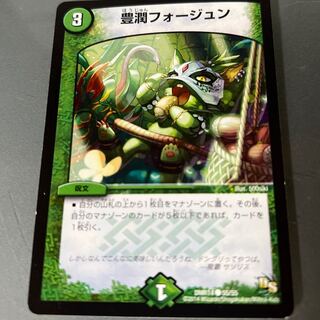 Houjun Faujun C 55/55 1枚