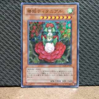 【ぽぽたん】遊戯王  -720  椿娘ティタニアル スーパー 1枚