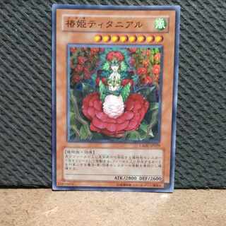 【ぽぽたん】遊戯王  -735 椿娘ティタニアル  スーパー 1枚