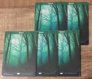 MTG forest UST English 5 sheets unstable