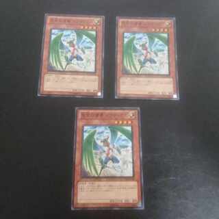 D191 Zeradias, Herald of Heaven Normal JP019