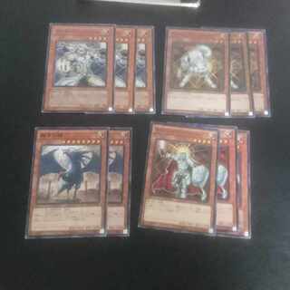 D202 ライトロード ライトロード・ハンター ライコウ ノーマル JP007 1枚