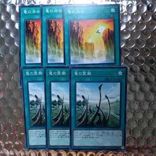 竜の霊廟&竜の渓谷 ノーマル 【聖刻、青眼、真紅眼、ドラグニティ】