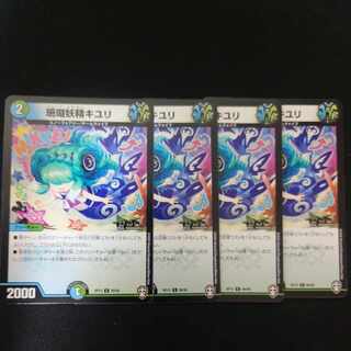 Coral Fairy Kiuri C 89/95