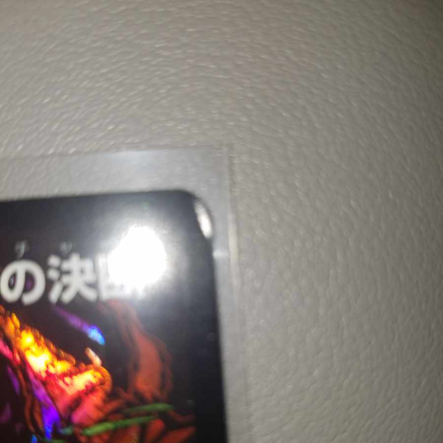 Life, Earth and Roaring Decision SE S12(Secret)/S12 1 copy