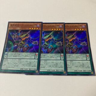 Wild Hope Super Rare JP022