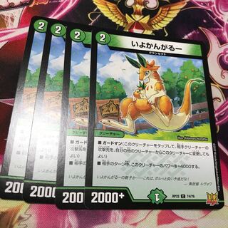 Iyokangaru C 74/76 RP22