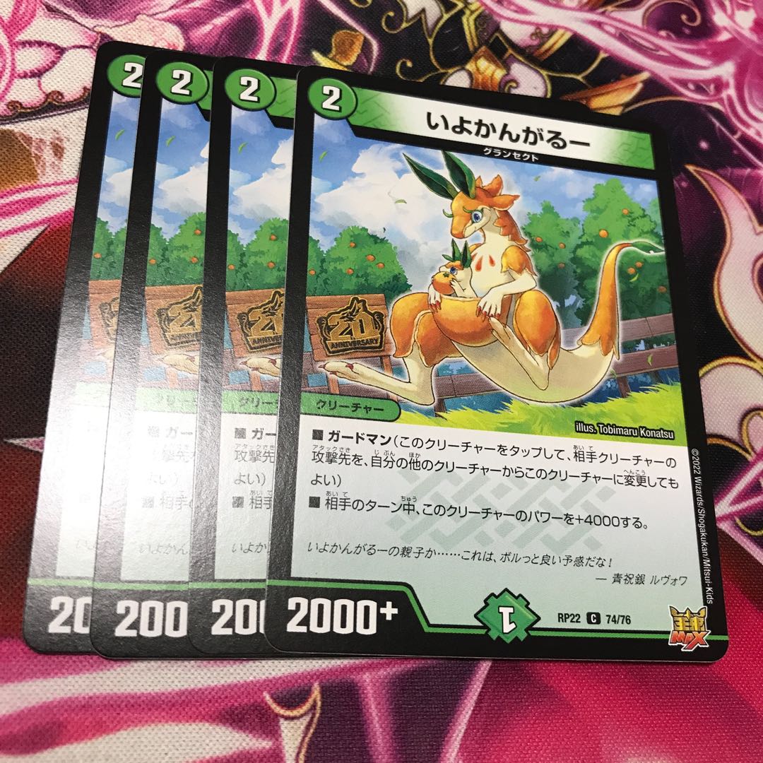 Iyokangaru C 74/76 RP22