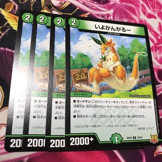 いよかんがるー