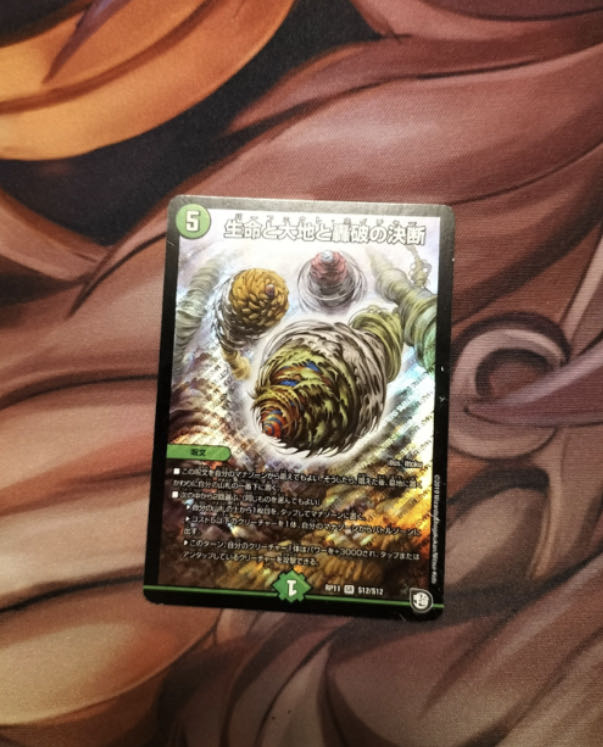 Life Life, Earth and Roaring Decision SR S12/S12