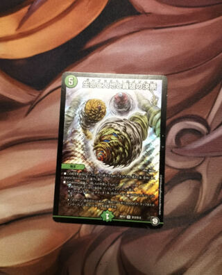 Life Life, Earth and Roaring Decision SR S12/S12