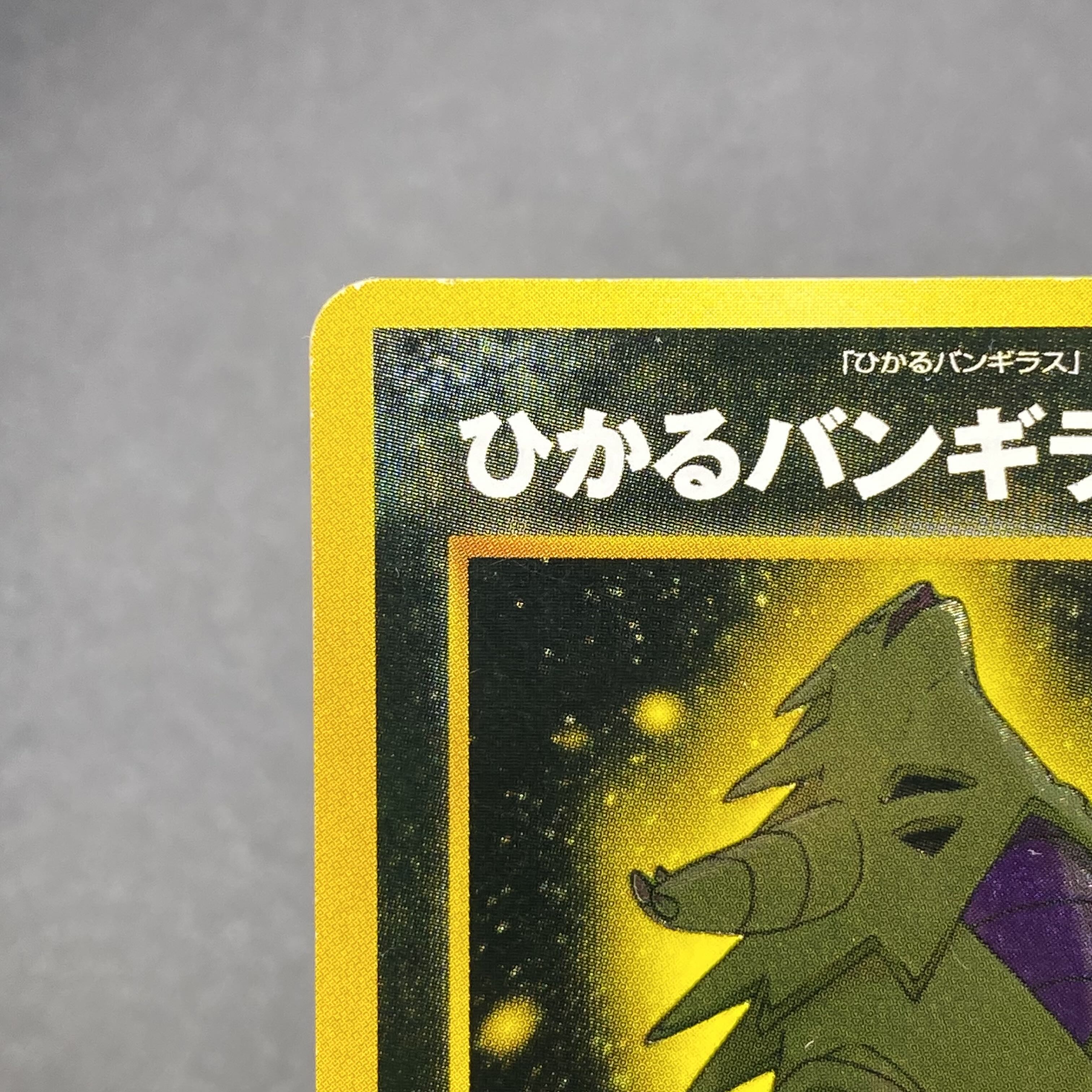 Hikaru Tyranitar No.248 Old back