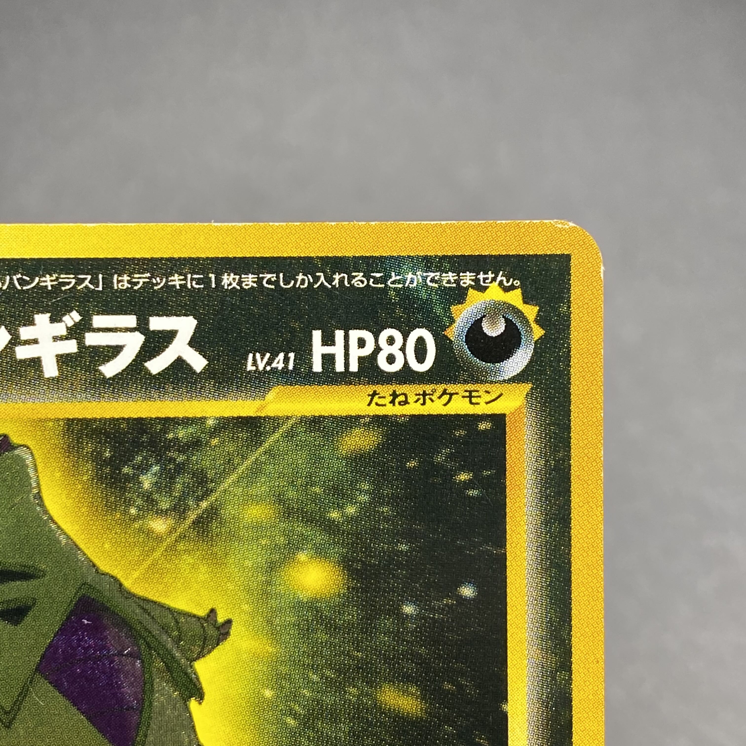 Hikaru Tyranitar No.248 Old back