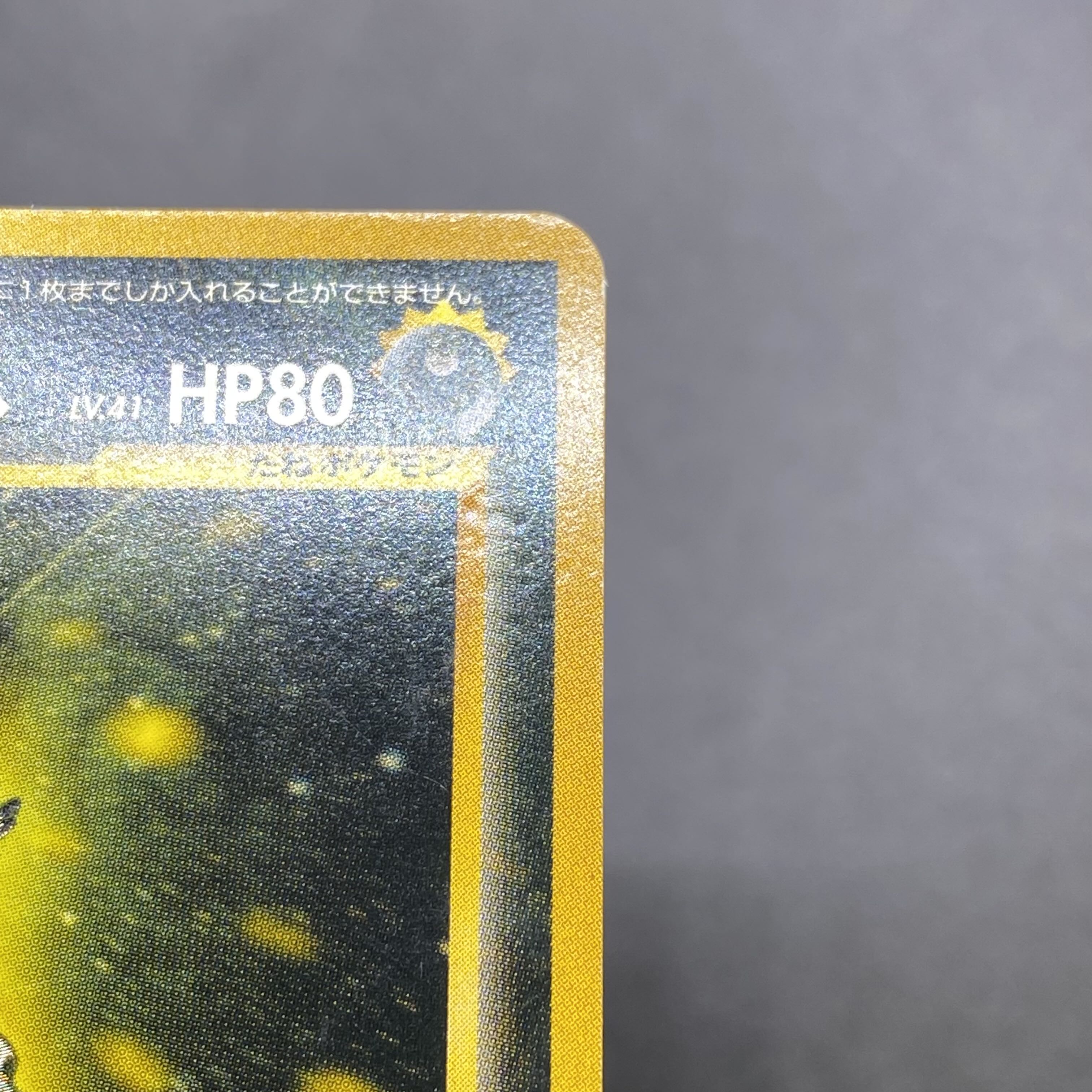 Hikaru Tyranitar No.248 Old back