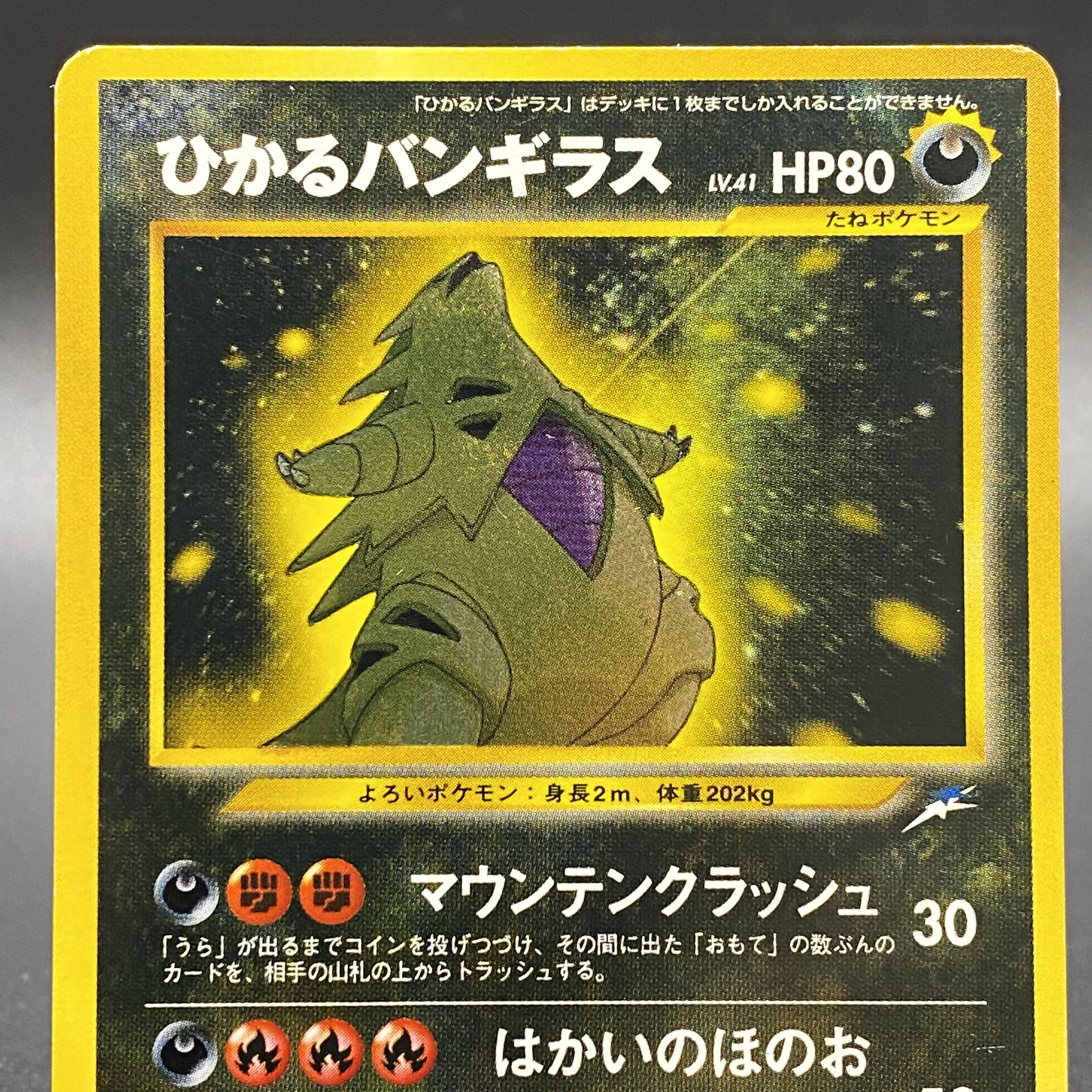 Hikaru Tyranitar No.248 Old back
