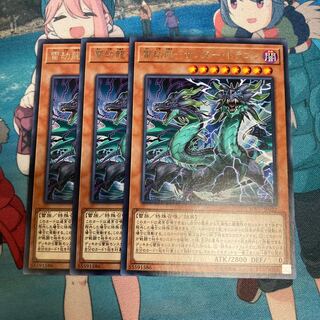 雷劫龍-サンダー・ドラゴン レア JP022 3枚　特価品