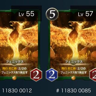 フェニックス（2枚セット）