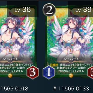 ショパート（2枚セット）