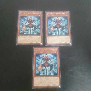 D214 フォーチュンレディ・パスティー レア JP008