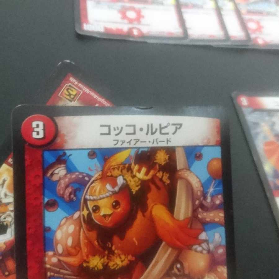 D221 Cocco Lupia U-foil 30/54