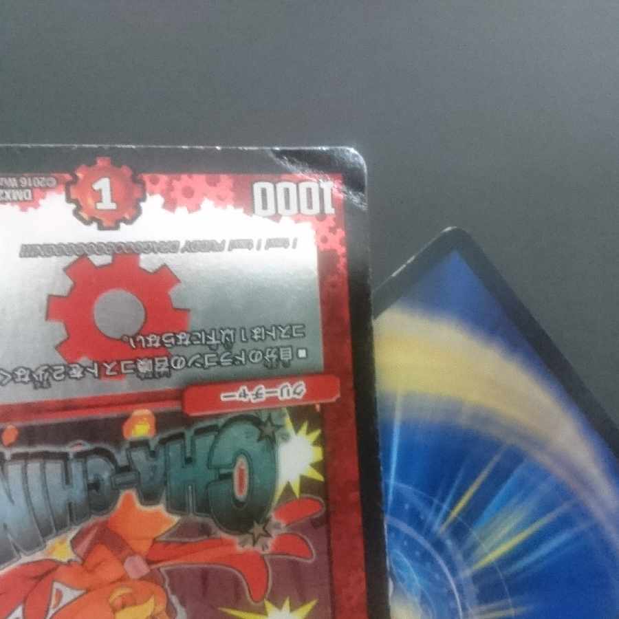 D221 Cocco Lupia U-foil 30/54