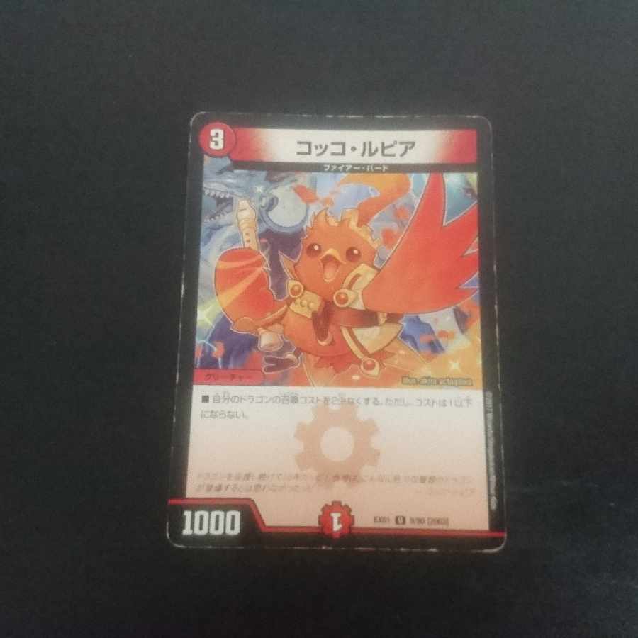 D221 Cocco Lupia U-foil 30/54