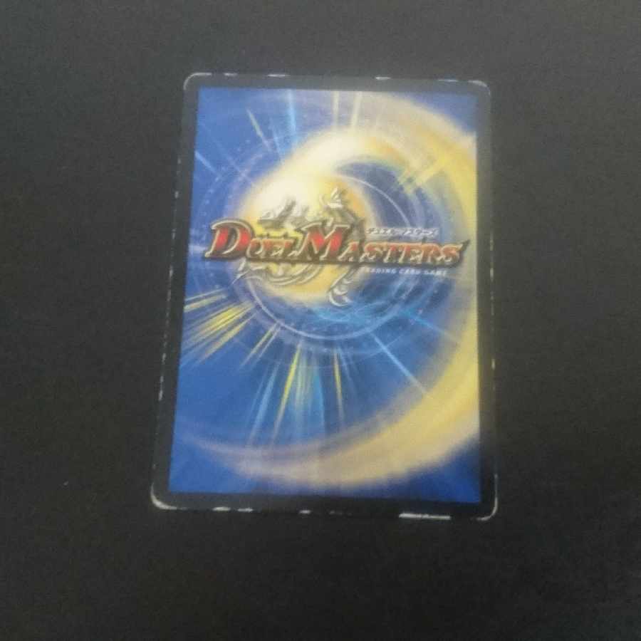 D221 Cocco Lupia U-foil 30/54