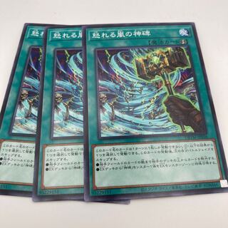 怒れる嵐の神碑 ノーマル JP036 3枚