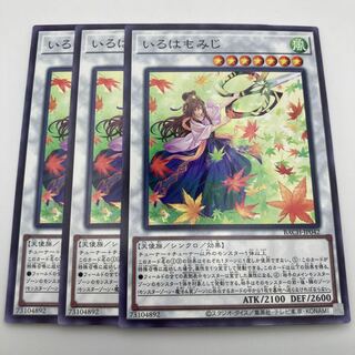 Iroha momiji normal JP042 3 sheets