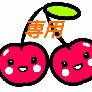 【専用】みつうろこ様 1枚