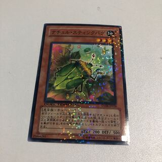 Naturia Stinkbug Normal JP028