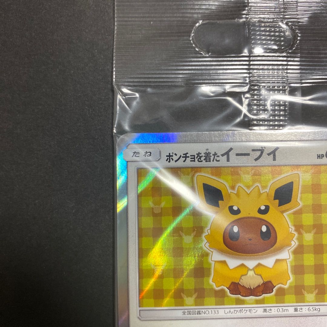 Three ponchos exclusively for Mr. Ray