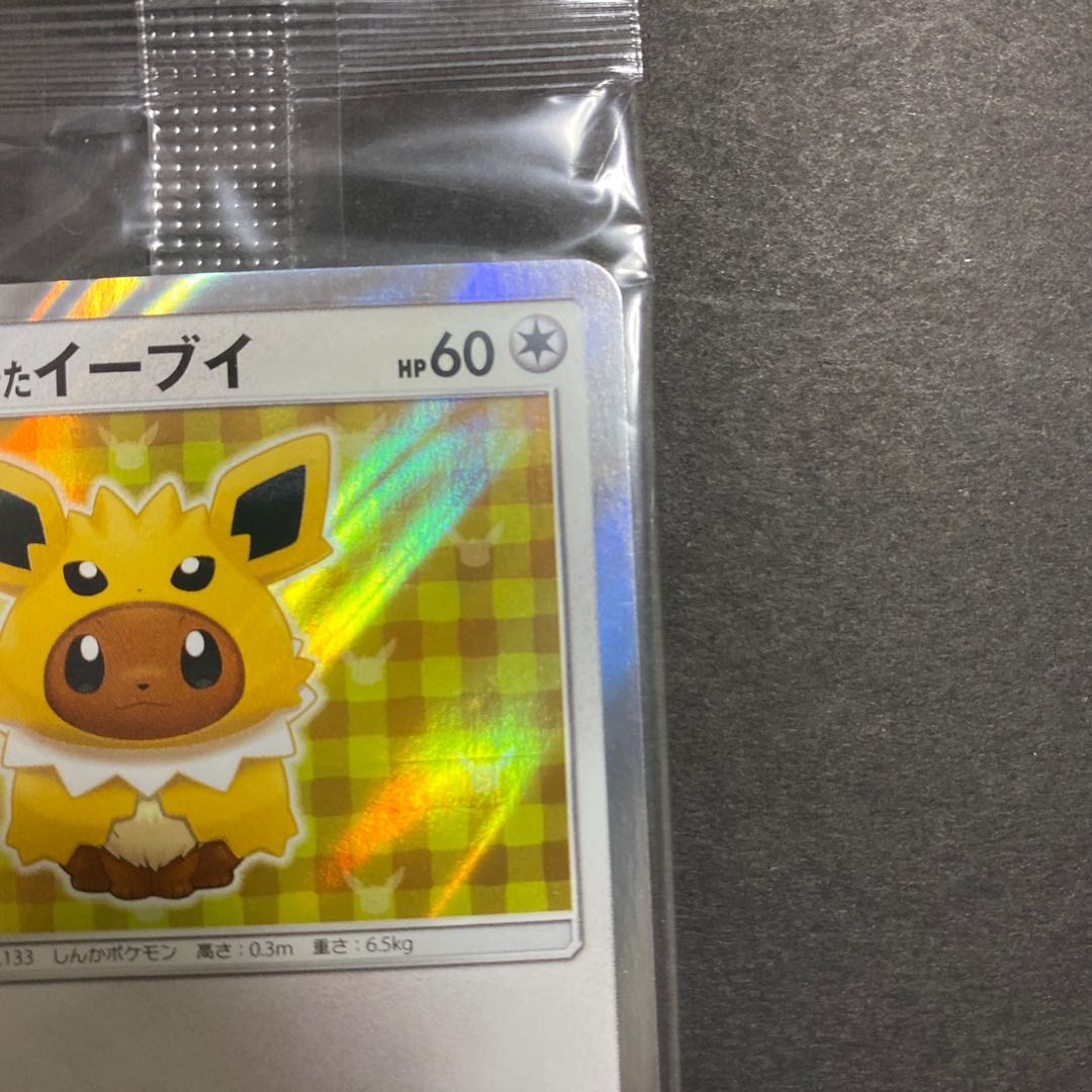 Three ponchos exclusively for Mr. Ray