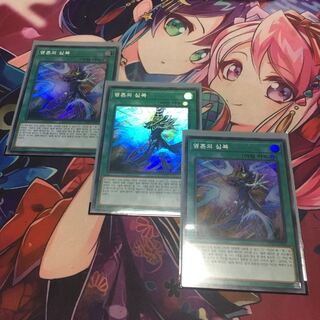 韓国　魂のしもべ