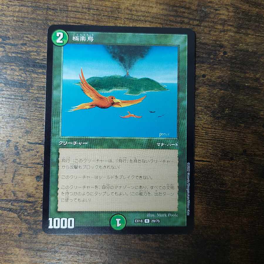 Birds of Paradise R 29/75