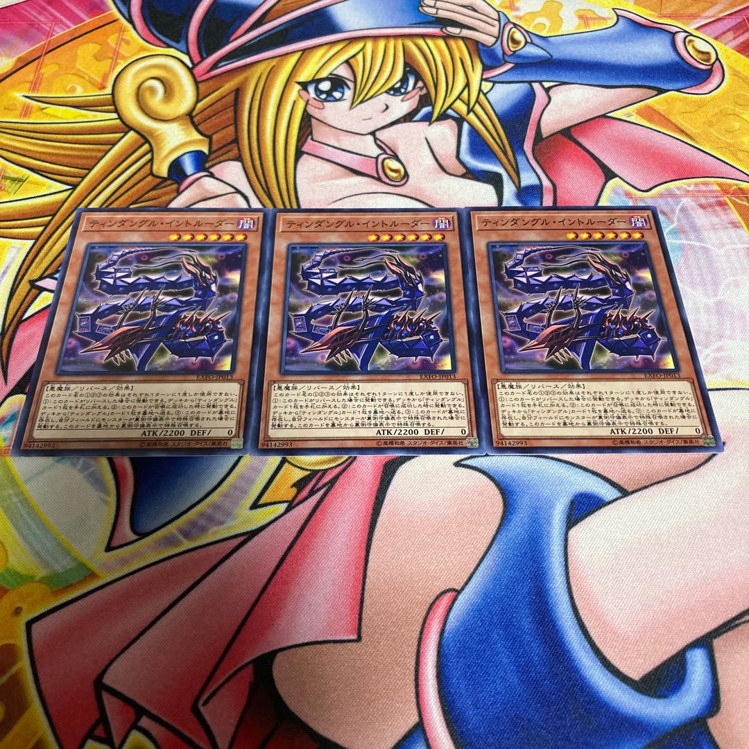 ティンダングル・イントルーダー ノーマル JP013