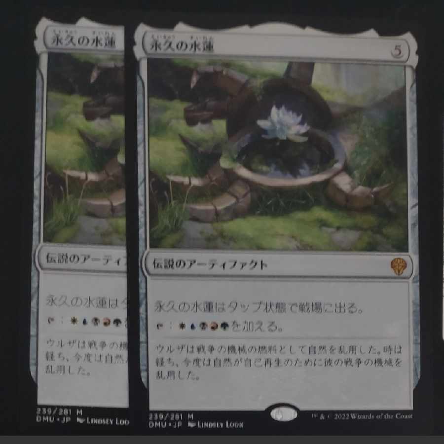 Perpetual Waterlily Summary