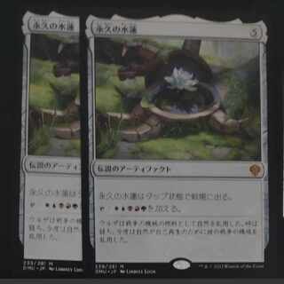 Perpetual Waterlily Summary