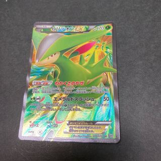 ぽーぽー@カード数万枚保有様専用ビリジオンEX SR 077/076