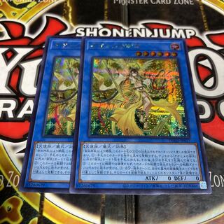 遊戯王 オオヒメの御巫 シークレットレア