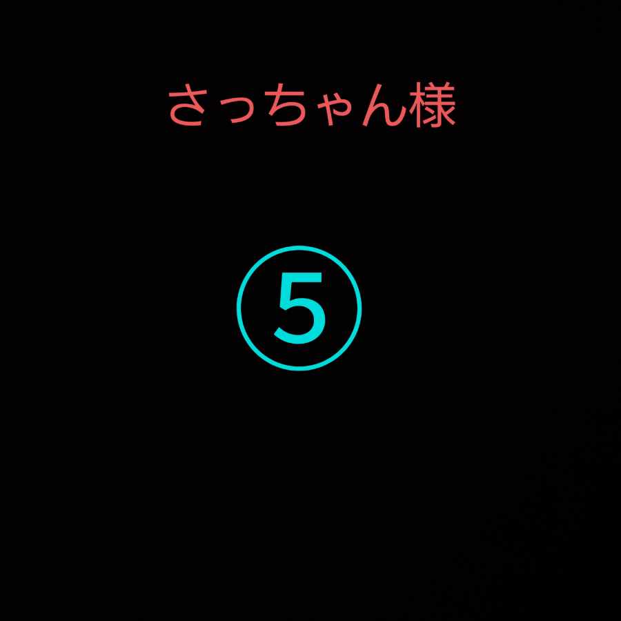 Mr. Sacchan, Sleeve Mystery Oripa Vol. 30 1枚