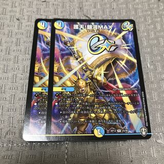 Proten! Ginga MAX R 24/95