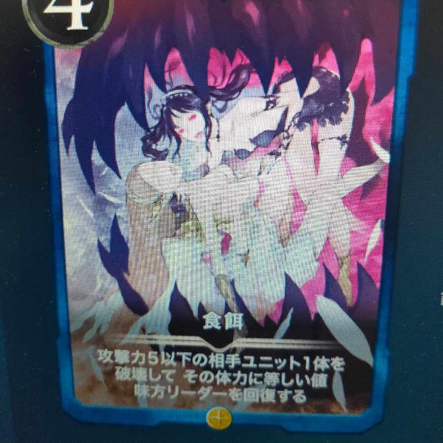 2枚組 食餌（バラ可）