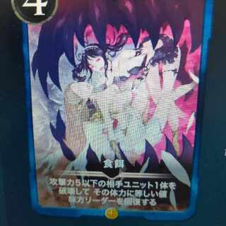 2枚組 食餌（バラ可）