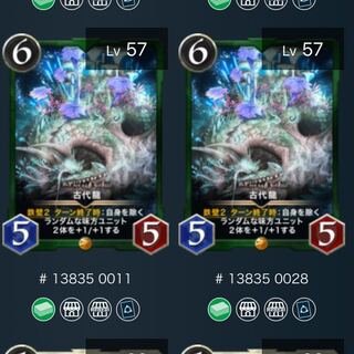 古代龍　2枚セット