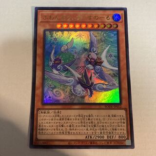 ふわんだりぃず×すのーる