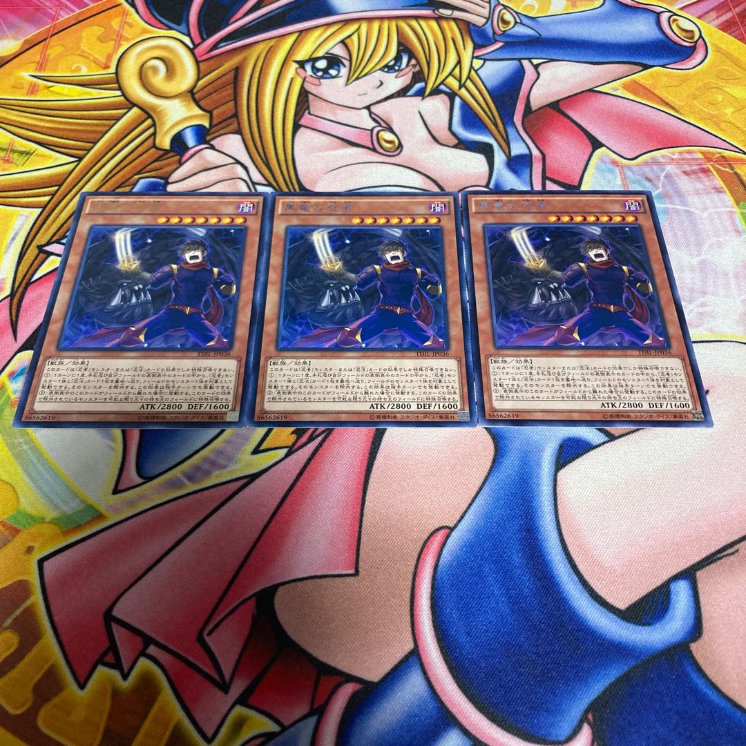 Black Dragon Ninja rare JP036