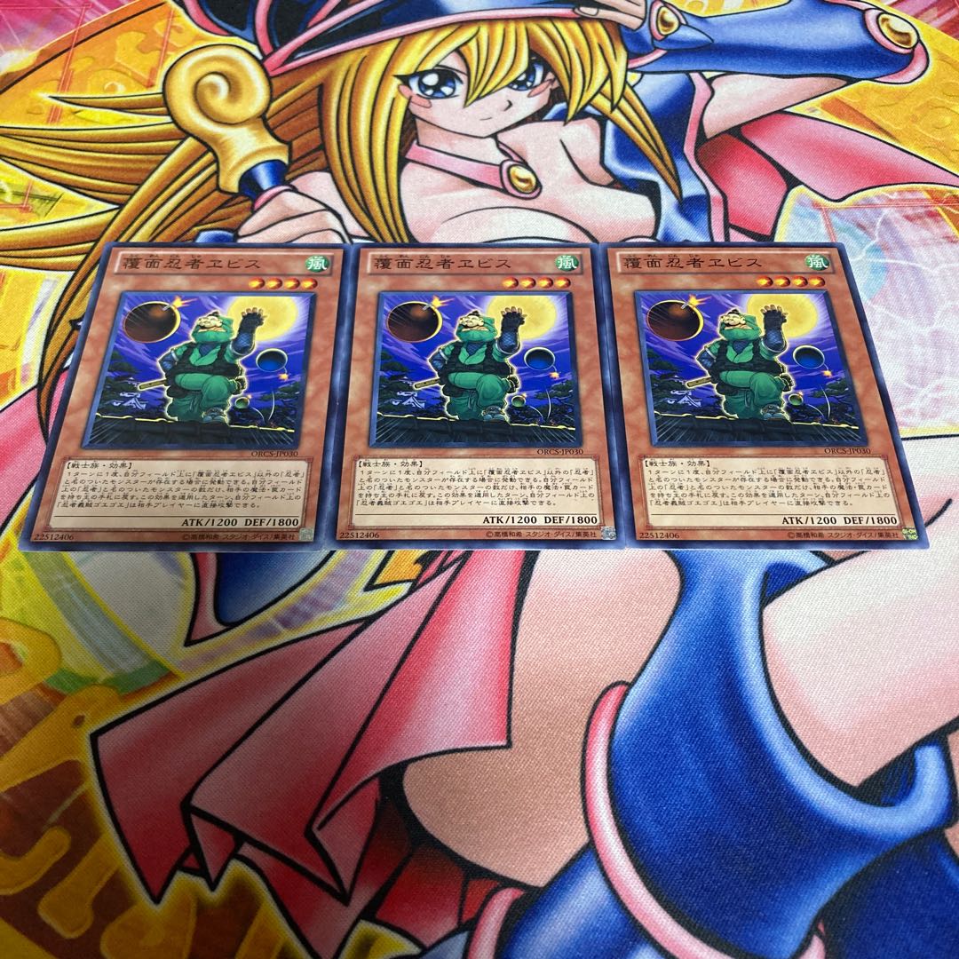 Masked Ninja Ebisu Normal JP030