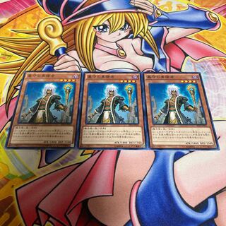 墓守の異端者 ノーマル JP025