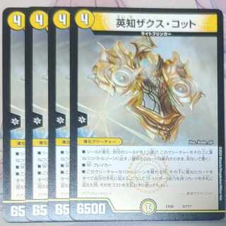 Eich Zaks Cotto 5/????????????